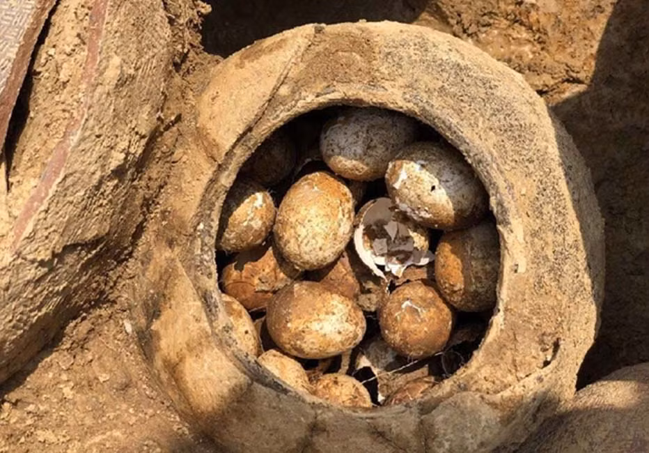 Một trong những hiện vật quý giá mà chuyên gia không dám chạm tay vào là trứng gà. Bên trong một số mộ cổ, các chuyên gia đã tìm thấy một số quả trứng gà. Ngay cả khi dùng bàn chải mềm nhất để chạm vào thì vỏ trứng cũng dễ bị vỡ vụn do vỏ mỏng cộng thêm việc ở trong mộ cổ nhiều năm.