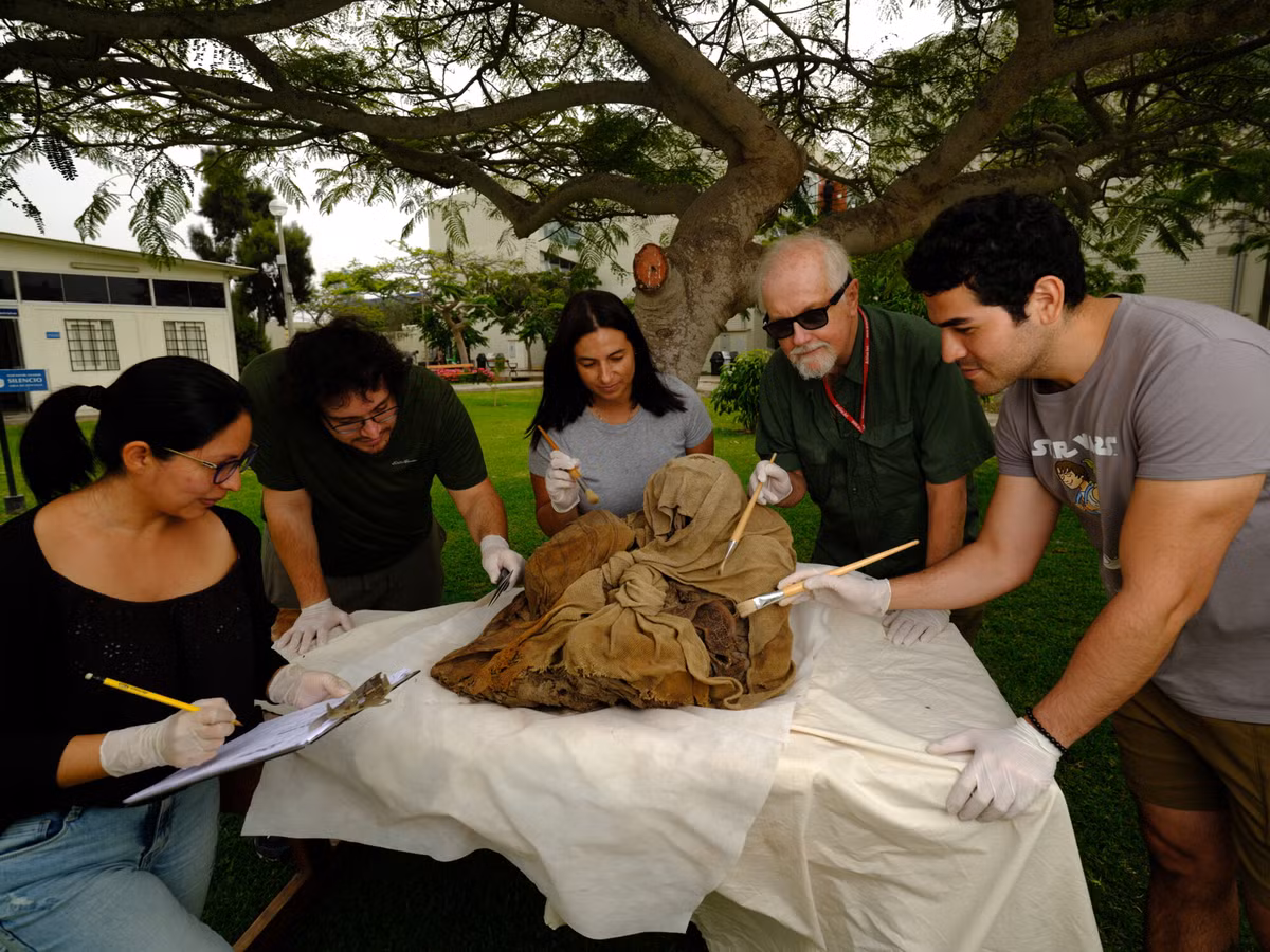 Ngoài hàng chục xác ướp, các nhà khảo cổ còn tìm thấy hai cây trượng bằng gỗ ở tàn tích của một khu định cư gần đó. Chúng nằm giữa bãi vỏ hàu gai (Spondylus princeps) được nhập khẩu từ vùng đất ngày nay là Ecuador, phía bắc đế chế Wari. Mỗi cây trượng đều được chạm khắc hình khá phức tạp.