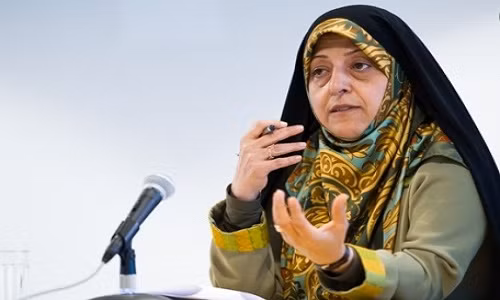 Dieu it biet ve Pho Tong thong Iran bi nhiem virus corona-Hinh-4