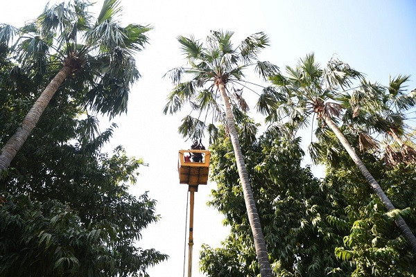 Thành phố Ahmedabad của bang Gujarat đang chuẩn bị kỹ càng để đón tiếp Tổng thống Trump và phu nhân Melania trong chuyến thăm đầu tiên của người đứng đầu Nhà Trắng tới Ấn Độ. Các công nhân được huy động để cắt tỉa cây xanh trong thành phố, từ những cây cỏ dưới mặt đất cho đến những cây trên cao. Một phần trong dự án cải tạo cảnh quan thành phố Ahmedabad là xây bức tường dài 400 m dọc tuyến đường từ sân bay thành phố tới sân vận động Motera. Mục đích của bức tường là nhằm che đi tầm nhìn của người đi trên con đường đối với khu ổ chuột của thành phố.