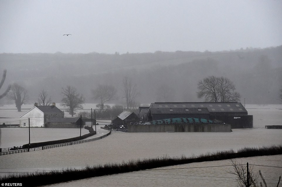 Cánh đồng ở Pembrokeshire, South Wales, chìm trong biển nước.