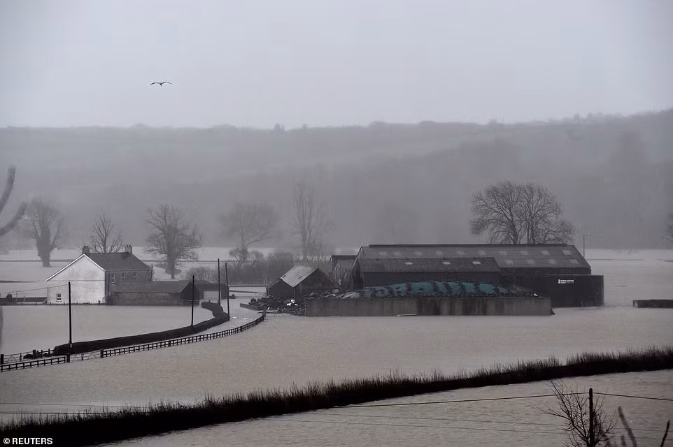Cánh đồng ở Pembrokeshire, South Wales, chìm trong biển nước.