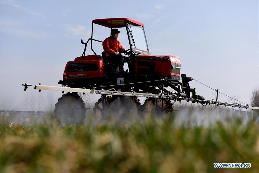 Nông dân Trung Quốc đã quay trở lại công việc sản xuất sau kỳ nghỉ Tết kéo dài vì dịch virus corona lây lan nhanh và rộng.