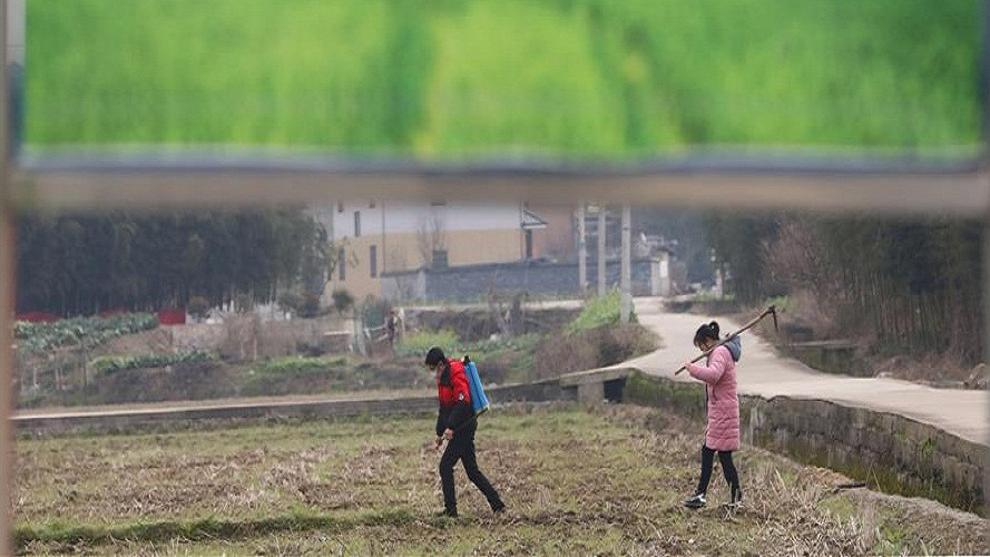 Tân Hoa Xã mới đây đăng tải loạt ảnh ghi lại cảnh người nông dân Trung Quốc hăng say lao động sản xuất trong khi nước này vẫn đang đối phó với dịch bệnh do virus corona gây ra. Ảnh: Người nông dân làm việc trên cánh đồng ở làng Zhaocun, Lâm An, Hàng Châu, tỉnh Chiết Giang, ngày 19/2. (Nguồn ảnh: Tân Hoa Xã) 