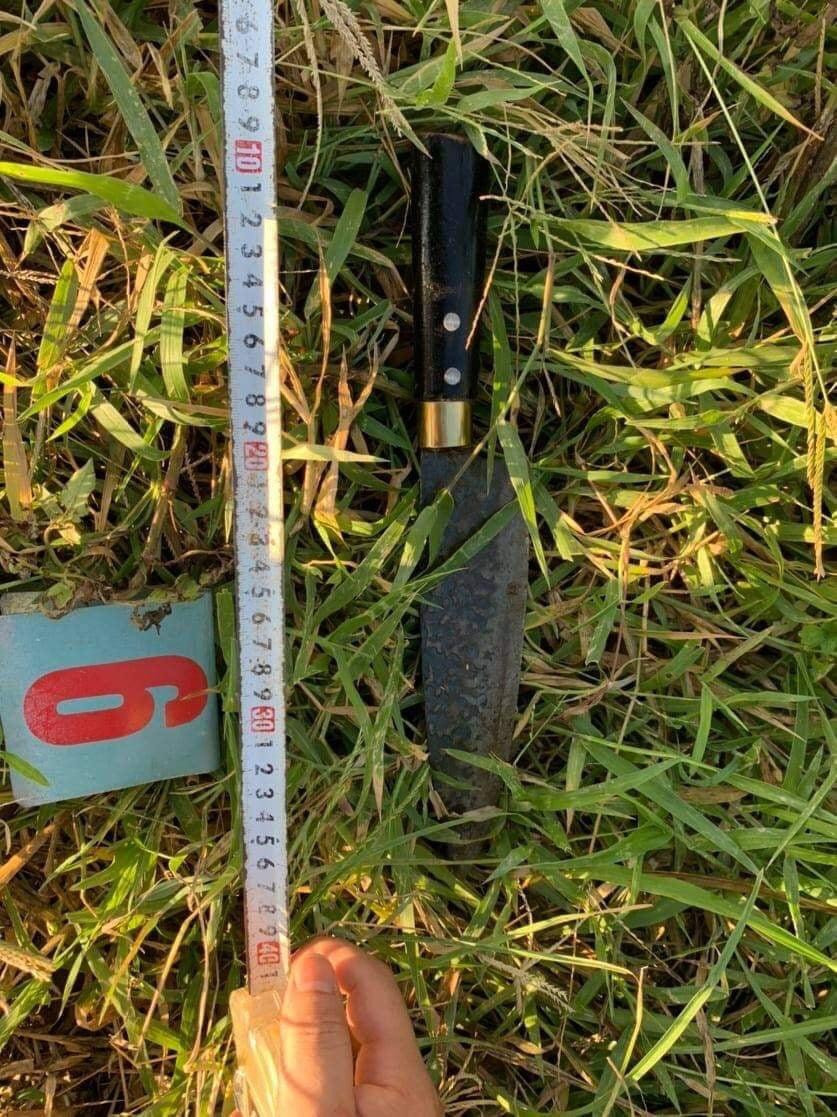 Nhom thanh nien chem nguoi da man vi benh ban gai-Hinh-2