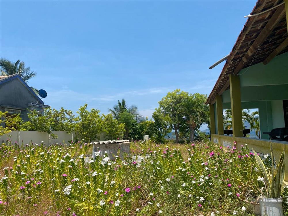 Khoe bat dong san tang chong, Phan Nhu Thao bi 'boc me'-Hinh-3