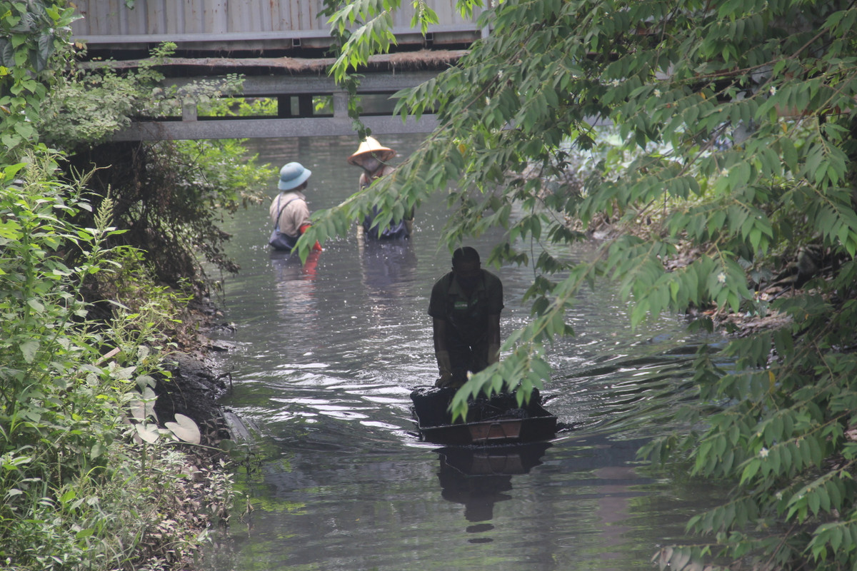 Ghi nhận của PV Báo Tri thức và Cuộc sống, ngày 26/7, tại chân cầu vượt Xuân Phương (phường Phương Canh, quận Nam Từ Liêm), các công nhân môi trường dầm mình trong mương nước để vớt bùn, rác thải.