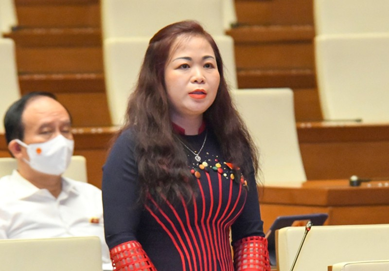 DBQH Vu Thi Luu Mai: Von dau tu cong la tu tien thue cua nhan dan-Hinh-2