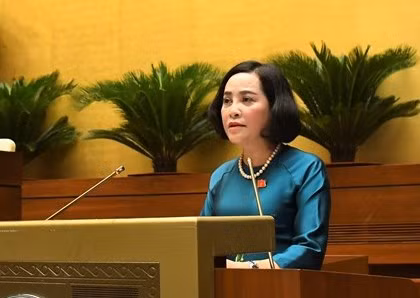 6 nguoi trung cu dai bieu Quoc hoi co don phan anh