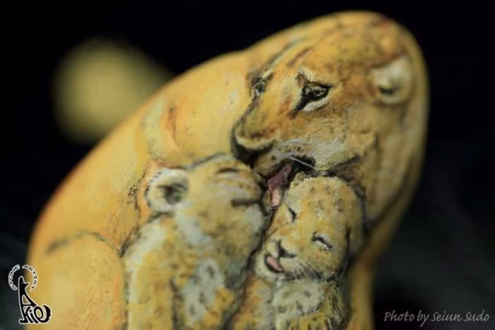 Ba mẹ con sư tử tình cảm ôm ấp nhau trên cùng một viên đá.