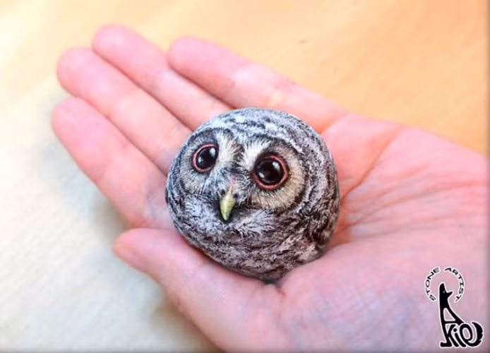 Viên đá tròn bỗng có góc cạnh và tâm hồn như một chú chim cú nhỏ có đôi mắt thơ ngây.