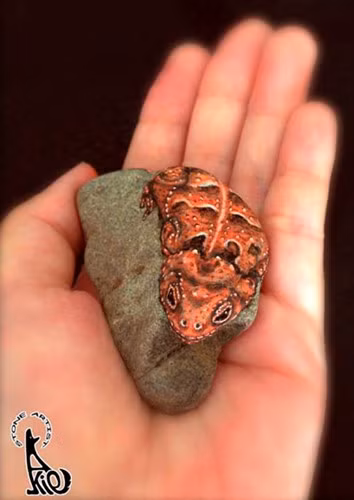 Akie Nakata biết cách "đọc" tâm hồn của một viên đá để biết được chúng thực sự là con vật gì.