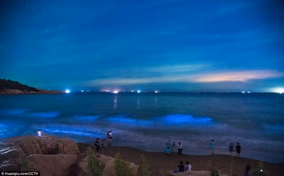 Mới đây, người dân Trung Quốc vô cùng xôn xao trước hiện tượng bãi biển tự phát sáng kỳ lạ ở phố Trường Lạc, tỉnh Phúc Kiến.