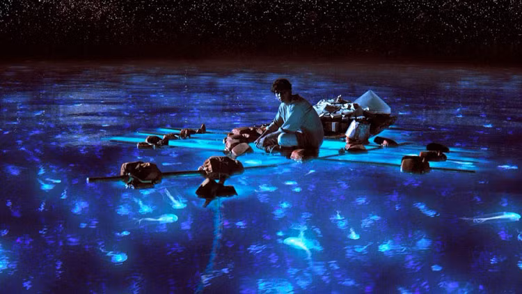 Vịnh Bioluminescent ở Puerto Rico cũng khiến nhiều người tò mò bởi những ánh sáng phát ra vào ban đêm. Hiện tượng kỳ thú diễn ra khiến ta cứ ngỡ là một biển sao lấp lánh.