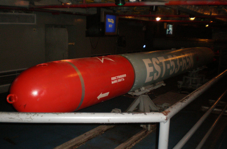 Cụ thể, Nga giao cho Việt Nam 65 ngư lôi chống tàu ngầm và chống hạm nổi 53-65 do Liên Xô thiết kế và sản xuất từ giữa những năm 1960. Tuy nhiên, tới ngày nay, 53-65 và các biến thể vẫn được trang bị rộng rãi trên tàu ngầm Nga và nhiều nước khác. Ngư lôi 53-65 dài 7,2m, đường kính thân 533mm, nặng 2-2,3 tấn, lắp đầu nổ nặng 307kg, đạt tầm bắn từ 18-22km (tùy biến thể), tốc độ khoảng 80km/h, dùng đầu tự dẫn chủ động/bị động.