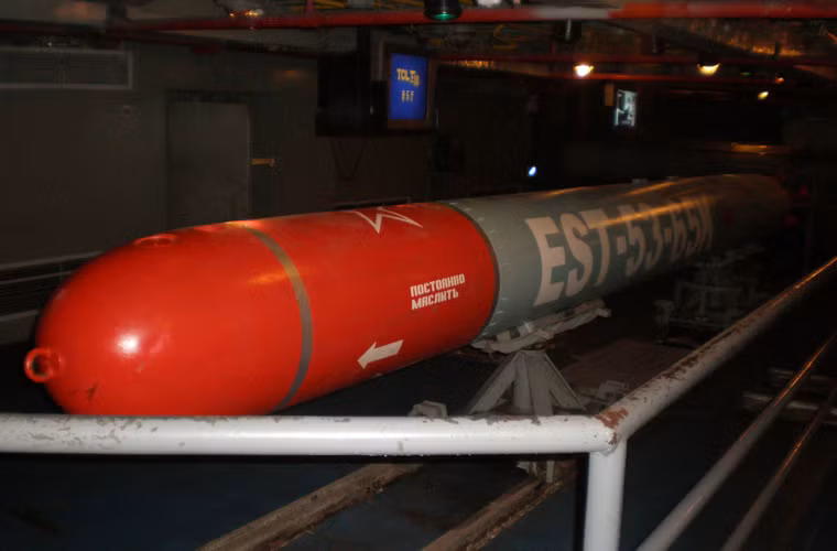 Cụ thể, Nga giao cho Việt Nam 65 ngư lôi chống tàu ngầm và chống hạm nổi 53-65 do Liên Xô thiết kế và sản xuất từ giữa những năm 1960. Tuy nhiên, tới ngày nay, 53-65 và các biến thể vẫn được trang bị rộng rãi trên tàu ngầm Nga và nhiều nước khác. Ngư lôi 53-65 dài 7,2m, đường kính thân 533mm, nặng 2-2,3 tấn, lắp đầu nổ nặng 307kg, đạt tầm bắn từ 18-22km (tùy biến thể), tốc độ khoảng 80km/h, dùng đầu tự dẫn chủ động/bị động.