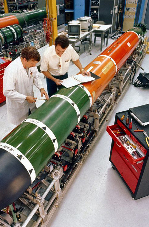 Ngư lôi hạng nặng Mk48 do Mỹ phát triển trang bị cho các tàu ngầm, tàu chiến mặt nước. Nó có chiều dài 5,79m, đường kính thân 533mm, trọng lượng nặng 1,5-1,6 tấn, mang đầu đạn nặng 295kg, Ngư lôi đạt tầm bắn 38km, tốc độ bơi 40-55 hải lý/h, xuyên sâu xuống mặt nước 800m, trang bị hệ thống sonar tiên tiến dẫn đường.