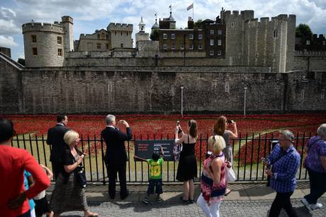 "Dòng sông hoa" này được hình thành từ gần một triệu bông hoa anh túc bằng gốm màu đỏ, mỗi bông hoa màu đỏ này tượng trưng cho một người lính Anh.