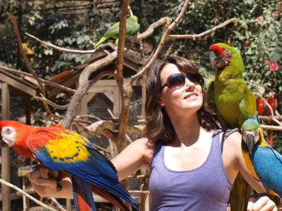 Đến với Copan, bên cạnh việc tham quan và tìm hiểu các giá trị lịch sử của công trình Maya độc đáo, du khách còn có thể tham gia vào hàng loạt các hoạt động du lịch thú vị khác như đi bộ ngắm cảnh ở Los Sapos Ruins, đến núi Macaws ngắm động vật hoang dã, hòa mình vào nhịp sống tại thị trấn Copan Ruinas...