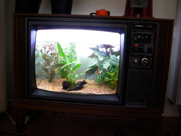 Thiết kế thú vị này trông giống như những chú cá đang bơi bên trong màn hình TV của bạn vậy.