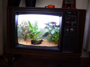 Thiết kế thú vị này trông giống như những chú cá đang bơi bên trong màn hình TV của bạn vậy.