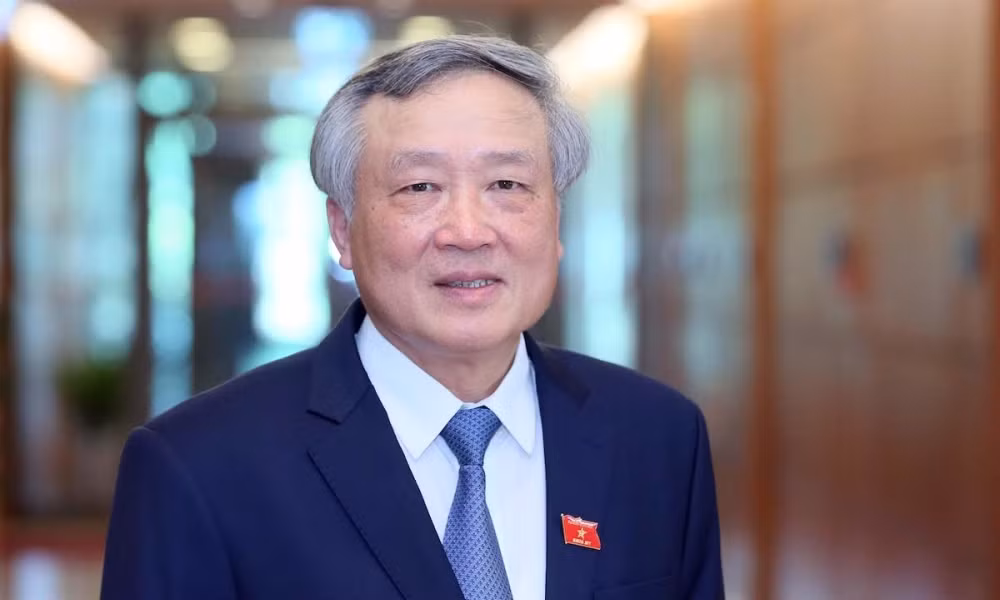 Ong Nguyen Hoa Binh, Ho Duc Phoc, Bui Thanh Son lam Pho Thu tuong