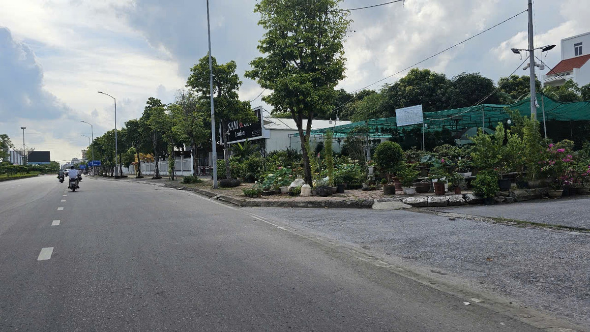 Hiện một số lô đất chưa xây dựng đang được tận dụng bày bán cây xanh.
