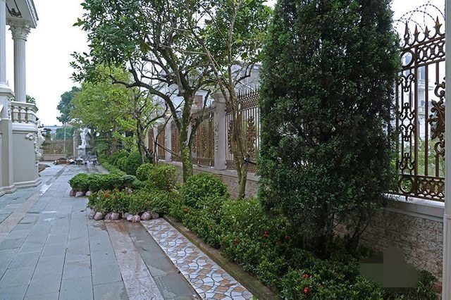 Cây xanh, tiểu cảnh trong khuôn viên sân vườn biệt thự của đại gia Nam Định. Ảnh: Vietnamnet