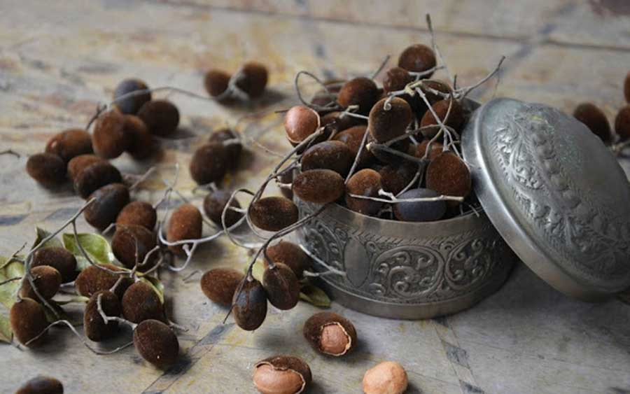 Trái xoay thường chín trong khoảng hơn 2 tháng, từ tháng 8 đến cuối tháng 10. Ảnh: Báo Gia Lai