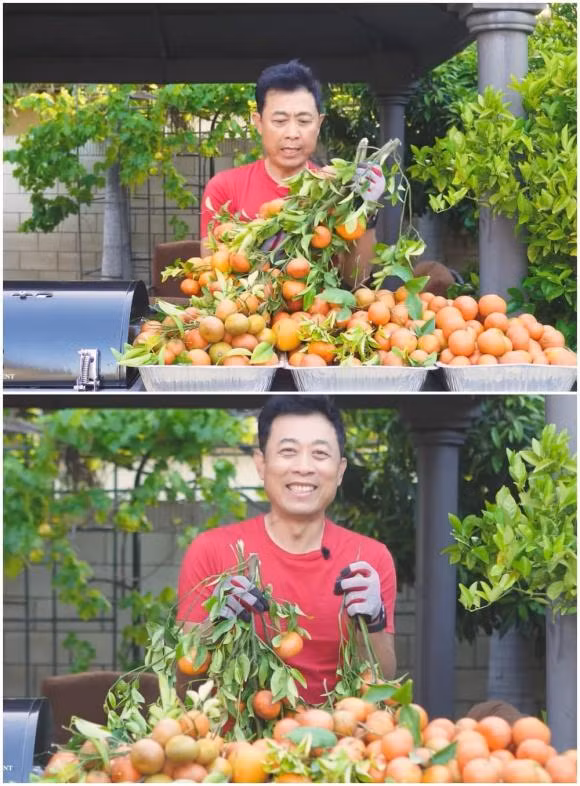 Danh hài hải ngoại cho biết trồng cây trong vườn nhiều không chỉ để lấy quả mà còn giúp thanh lọc không khí.