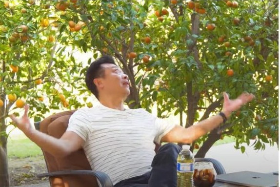 Mới đây, nam danh hài chia sẻ hình ảnh thu hoạch trong khu vườn rộng 1.200m2 với đủ loại trái cây Việt khiến khán giả thích thú.