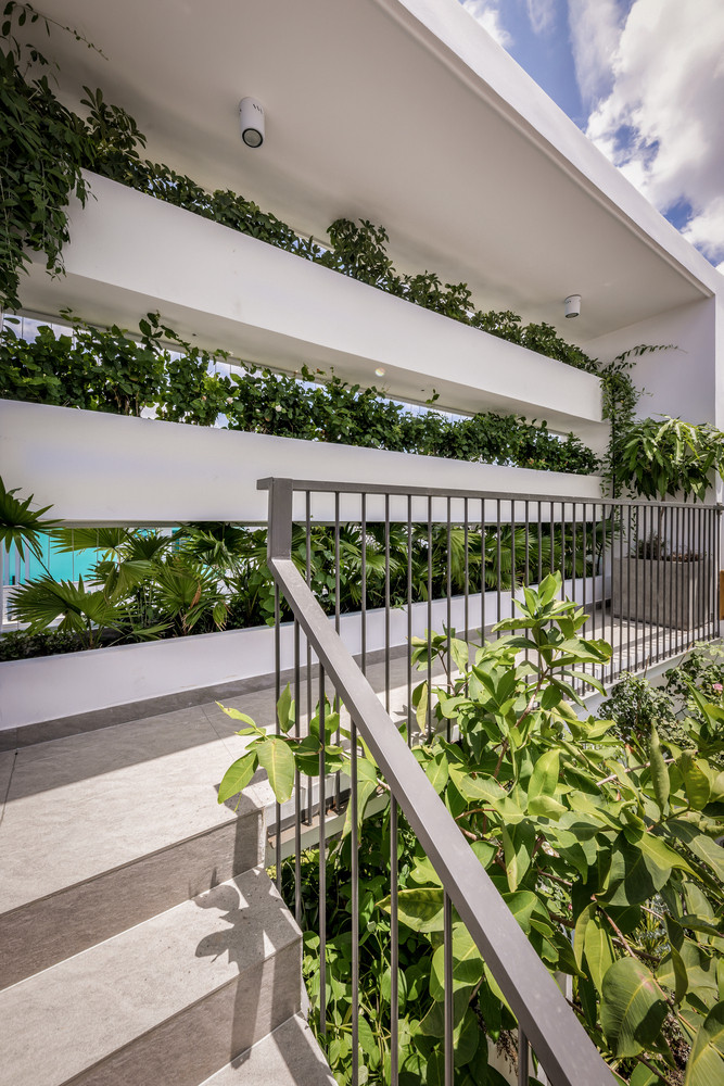 Hai khu vườn nhỏ ở giữa và sau tầng trệt làm không gian xanh cho căn nhà.