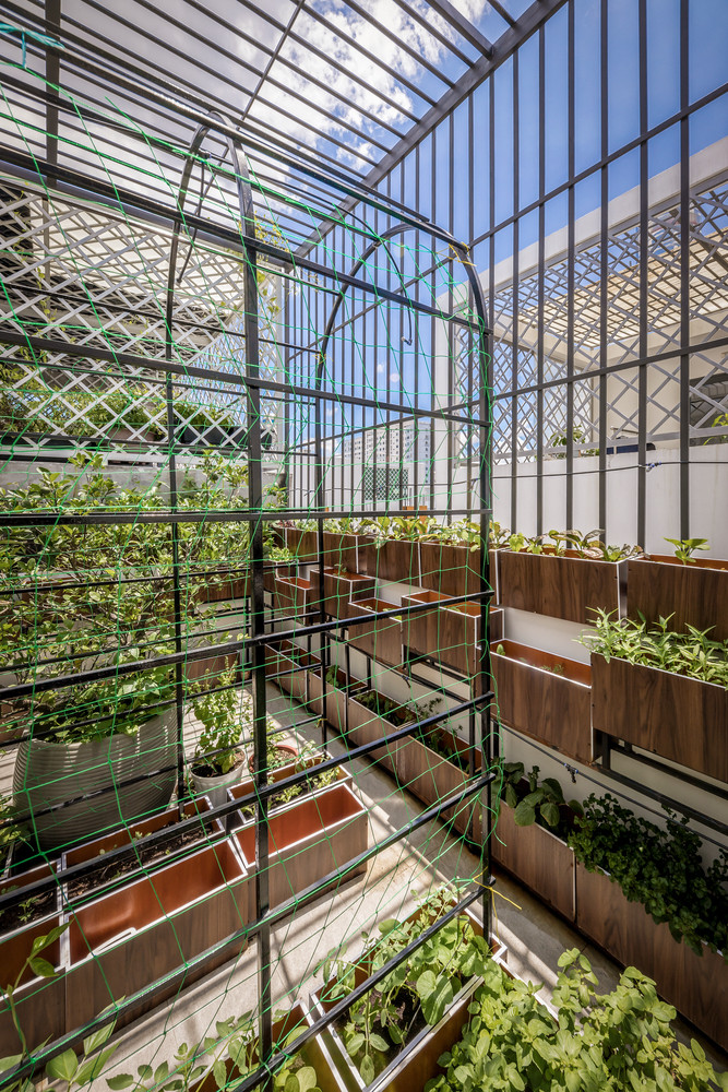 Vườn rau được thiết kế gọn gàng, đẹp mắt. Nguồn ảnh: Minq Bui