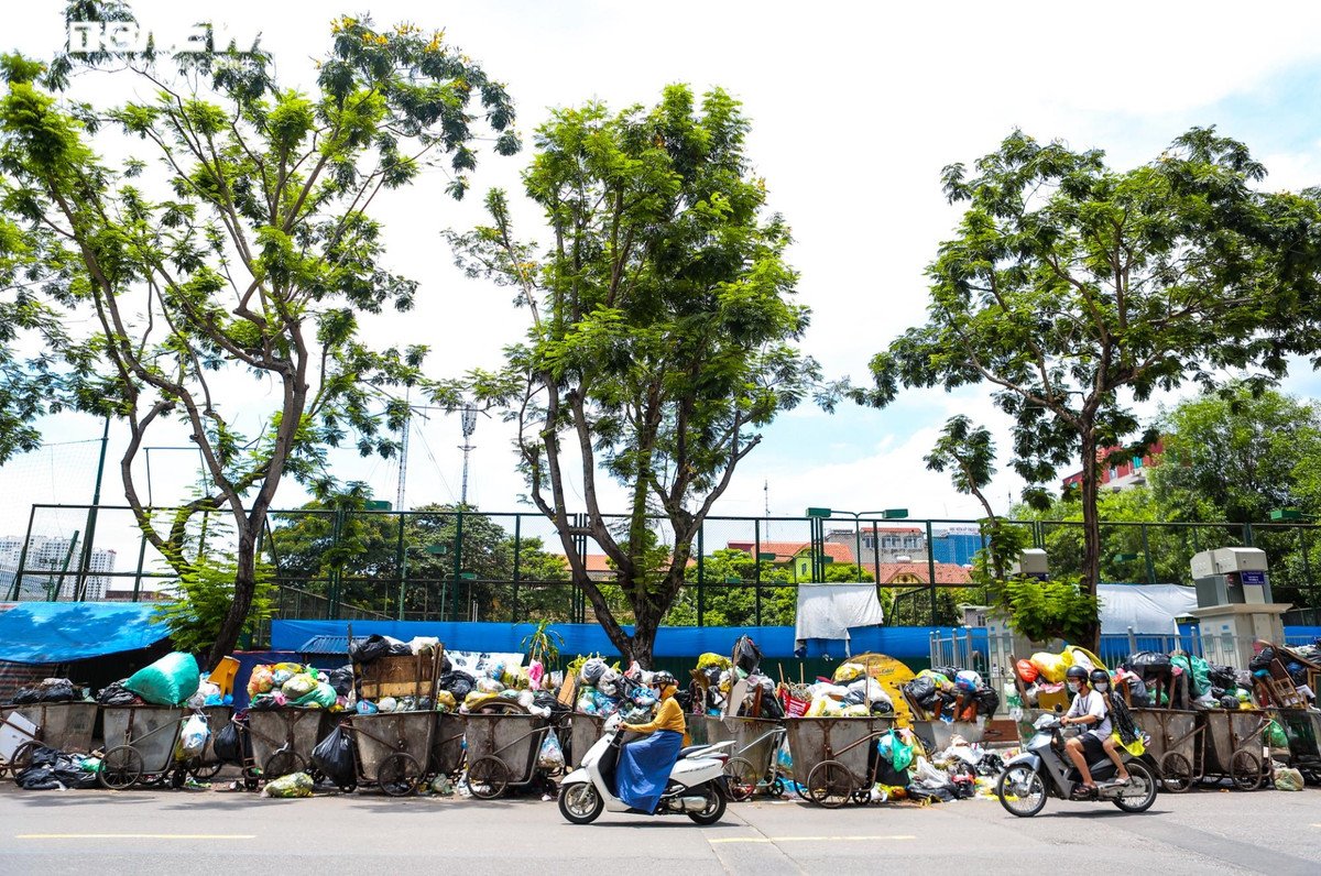 Có khoảng 20 xe gom trở đầy rác thải vẫn chưa được phủ bạt, bốc mùi nồng nặc trên đường Trần Quốc Hoàn. Tại đây, nhiều rác thải sinh hoạt không còn chỗ chứa, bị vứt đầy dưới lòng đường.