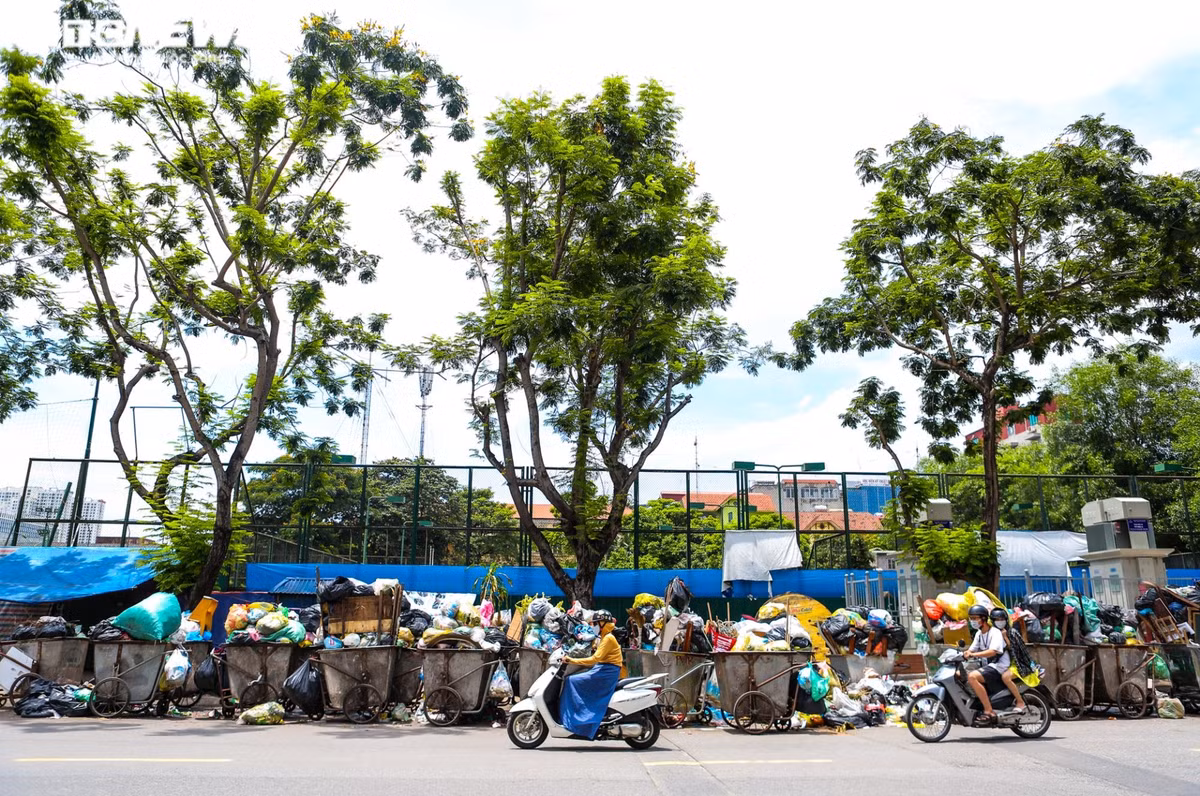 Có khoảng 20 xe gom trở đầy rác thải vẫn chưa được phủ bạt, bốc mùi nồng nặc trên đường Trần Quốc Hoàn. Tại đây, nhiều rác thải sinh hoạt không còn chỗ chứa, bị vứt đầy dưới lòng đường.