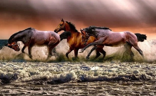 Mo thay 4 con giap nay, chu nhan co the gap diem lanh, don nhieu van may