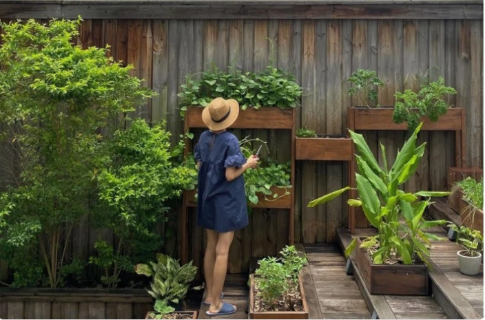 Ngoài thời gian làm việc, Hà Tăng lại tập tành làm “nông dân”, dành thời gian chăm sóc cho cây trái trong vườn. Ảnh: Instagram