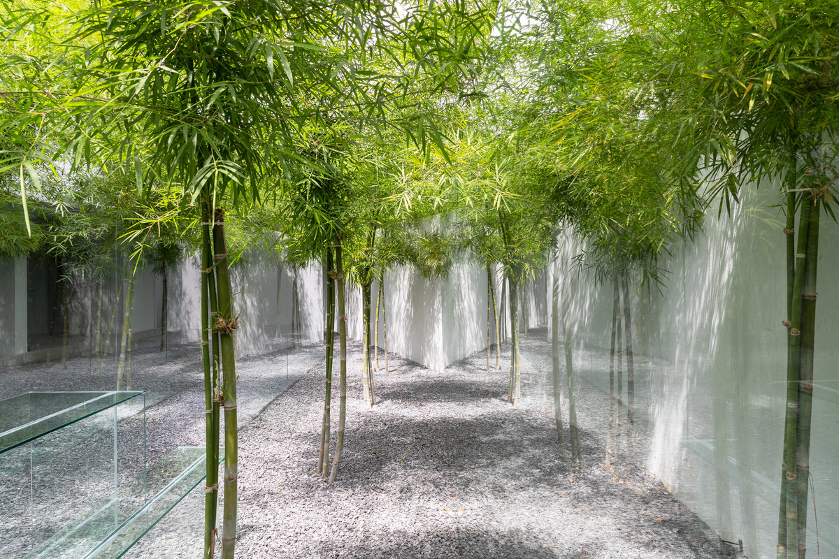 Một điểm đặc biệt của căn nhà là vườn cây với 3 hàng tre xanh hút mắt bao quanh.