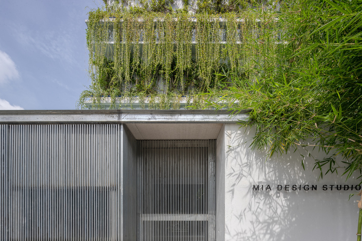 Cây dây leo trồng trên sân thượng rủ xuống bên dưới, tạo thành tấm mành xanh mát, giúp điều hòa nhiệt độ và không khí.