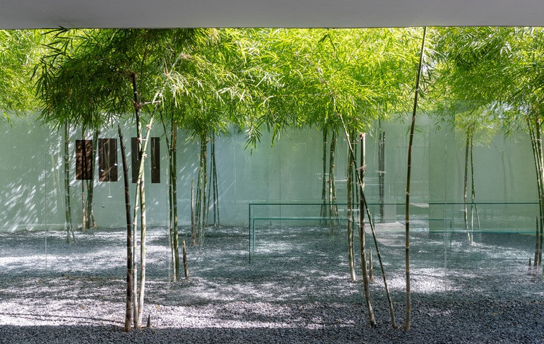 Thêm nữa, tre cũng là cây có tán khá rộng nên giúp chắn nắng và nhiệt.