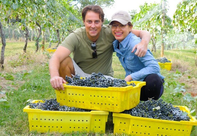 Ngoài căn nhà trên, vợ chồng Hoa hậu Ngọc Khánh còn sở hữu một trang trại nho rộng bát ngát.