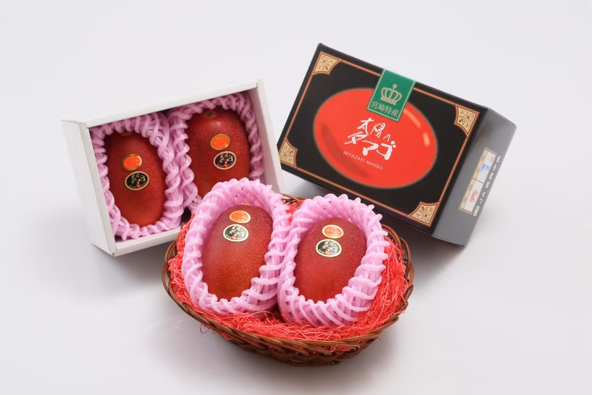 Ngoài ra, một cặp xoài "trứng của mặt trời" từ tỉnh Miyazaki cũng đạt mức giá kỷ lục 500.000 yên (tương đương 100 triệu) trong phiên đấu giá đầu tiên của mùa xoài 2019. Ảnh: Kvbro