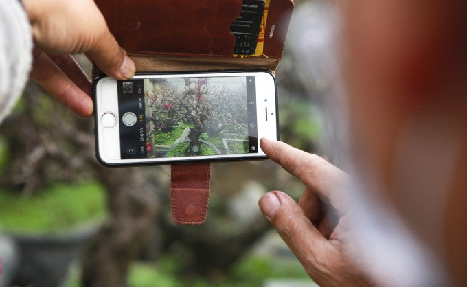 Sau khi chốt đơn, nhà vườn sẽ vận chuyển đến tận nơi cho khách mua. Ảnh: Công luận