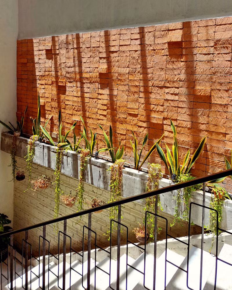 Những đường cong bê tông nguyên khối tạo nên sự khác biệt và độc đáo cho mặt tiền ngôi nhà khi nhìn từ xa.