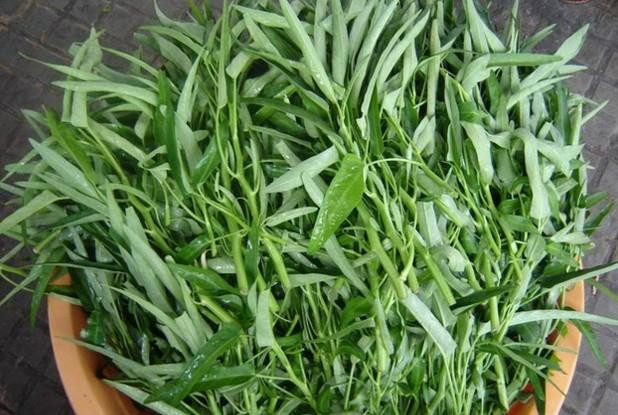 Khi mua, chị em nên chọn loại rau muống ngọn nhỏ, nhìn hơi cứng nhưng ăn giòn và an toàn.