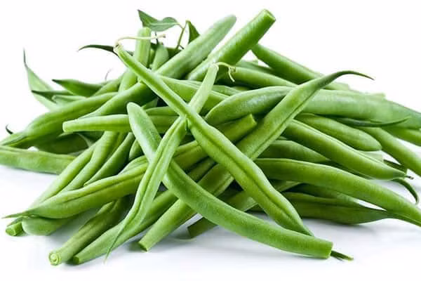Tốt nhất, không nên mua những quả đậu non bóng nhẫy, ít lông tơ, bẻ thấy giòn tan, không có sâu bệnh. Thay vào đó, hãy chọn những loại đậu dù vẫn còn non nhưng vẫn có độ cứng nhất định.