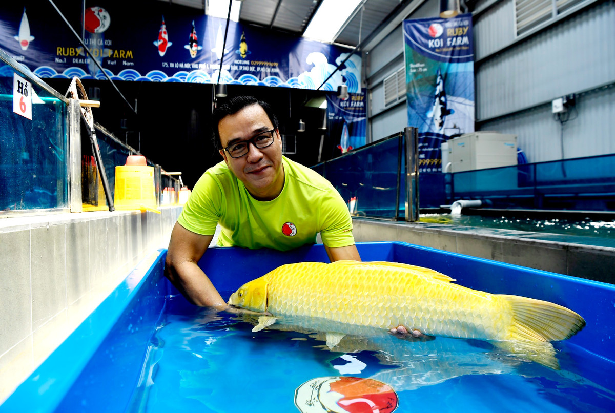 Doanh nhân Thắng Ngô (Ngô Văn Thắng) là chủ sở hữu kiêm Giám đốc thương hiệu Ruby Koi Farm (TP HCM). Ảnh: Qdnd