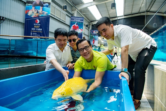 Năm 2013, doanh nhân Ngô Văn Thắng tìm đến cá Koi như thú vui. Không ngờ sau một thời gian, vị doanh nhân này đã biến sở thích trở thành công việc kinh doanh hiệu quả. Ảnh: QĐND