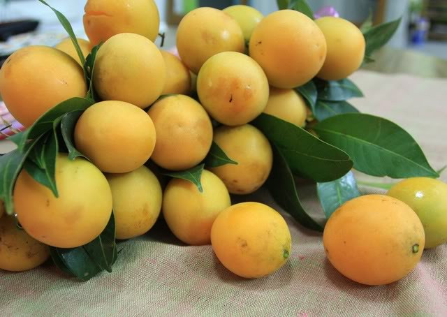 Không chỉ ăn như một quả thông thường, người dân địa phương còn sử dụng thanh trà non để nấu canh chua, kho cá. Ảnh: Internet