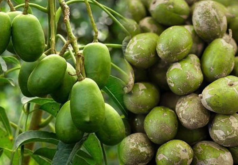 Muốn thưởng thức món ăn này, khách hàng phải đợi đến tháng 8, tháng 9 âm lịch. Ảnh: Internet